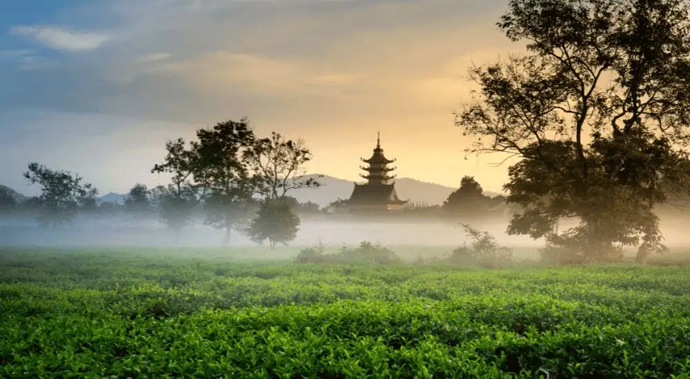 Khám Phá Top 10 Địa Điểm Du Lịch Thành Phố Pleiku Đẹp Nhất